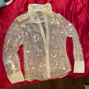 Zara semi sheer sequin top